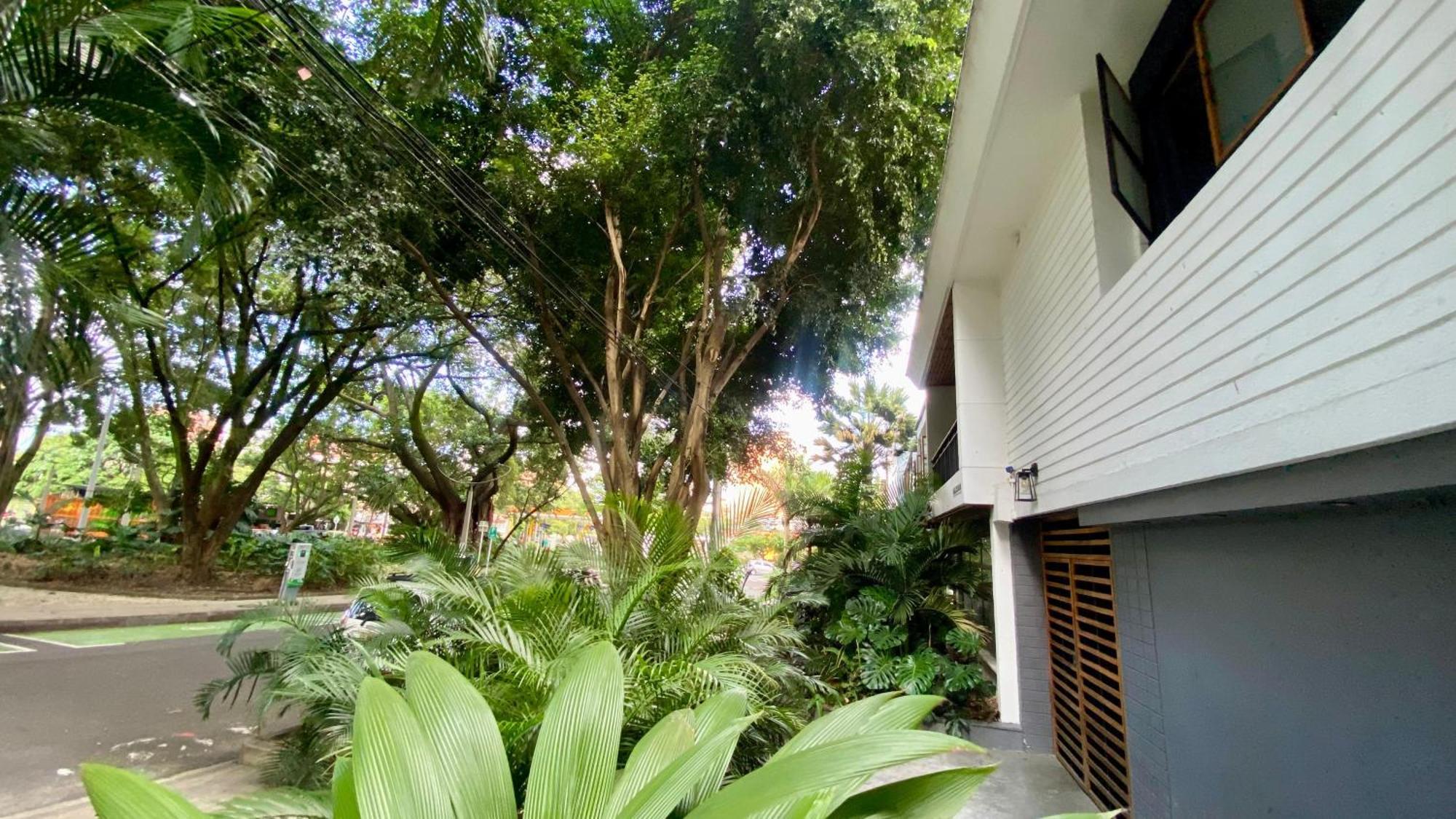 Casa Mosaiko Primer Parque Laureles Medellín Kültér fotó